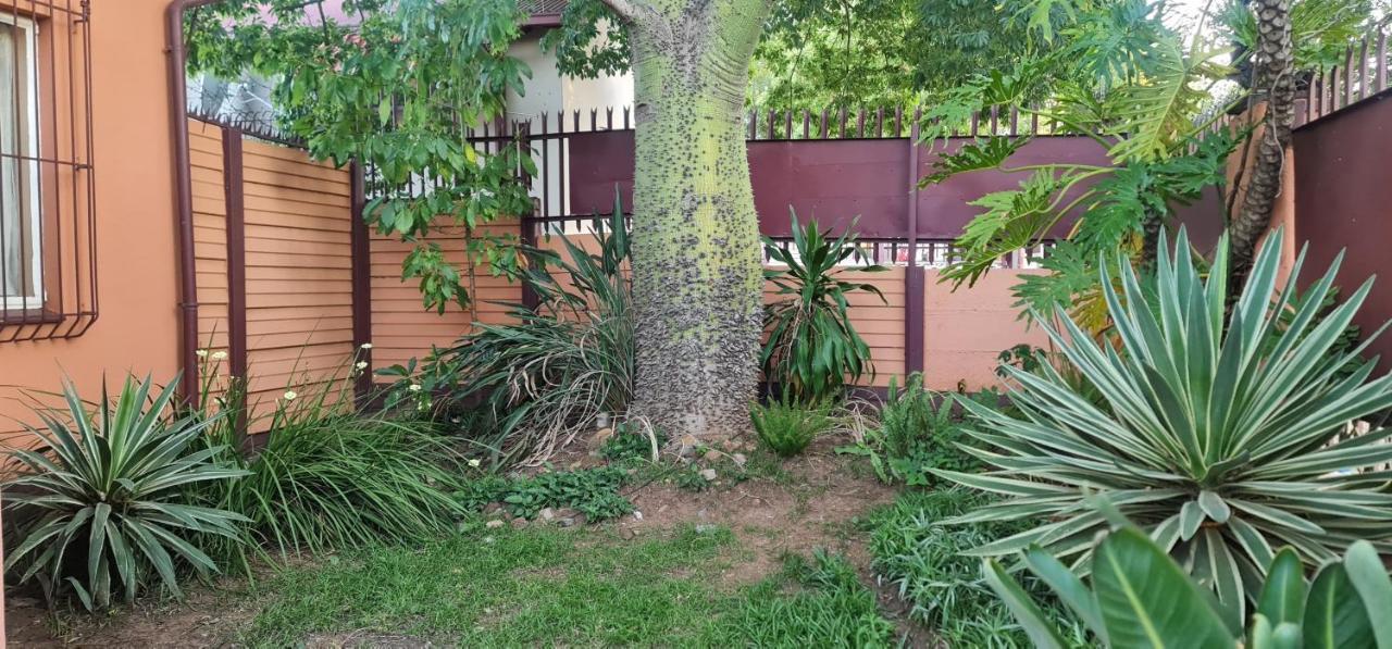 My House Guest House Pretoria-Noord Dış mekan fotoğraf